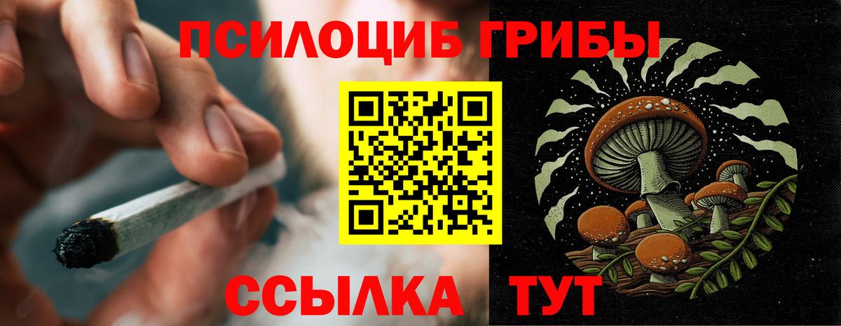 Зерноград  Псилоцибиновые грибы Psilocybe  Вход с VPN 
